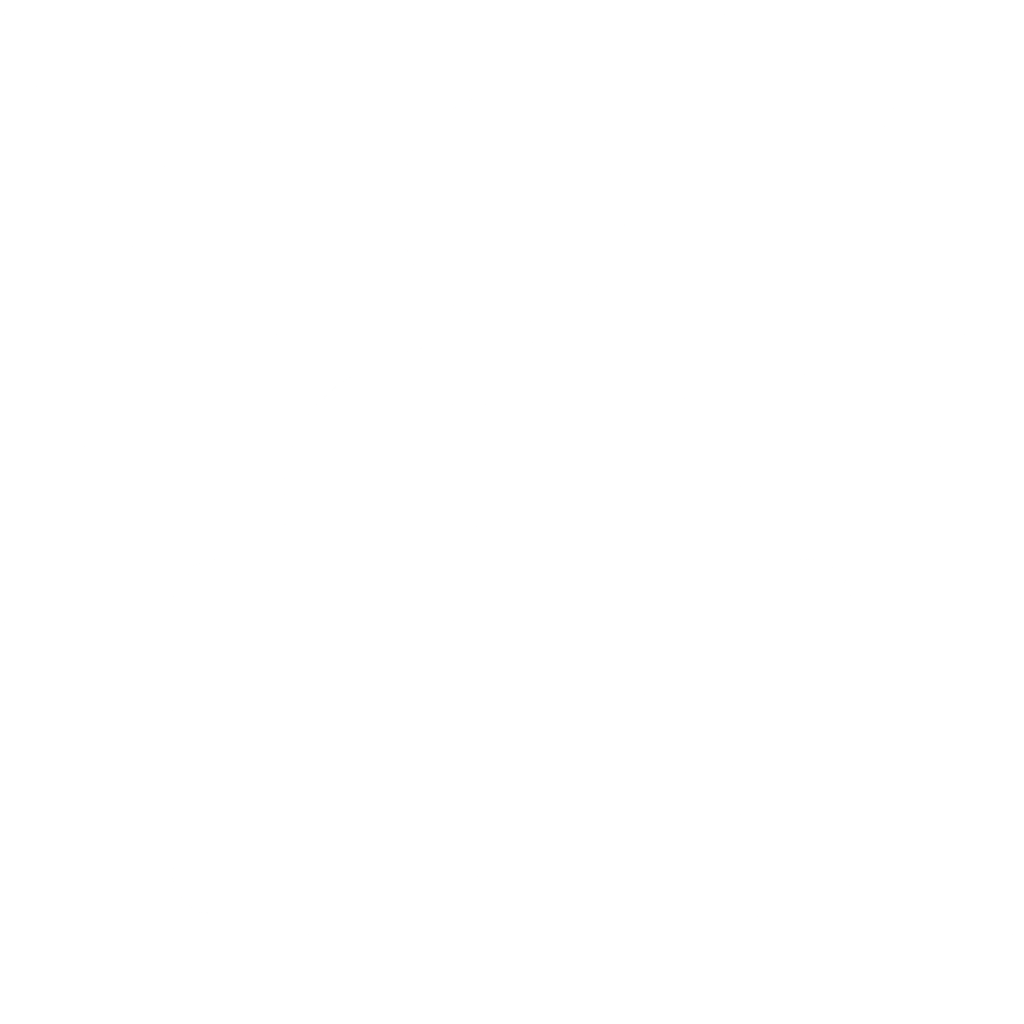 Visa icon
